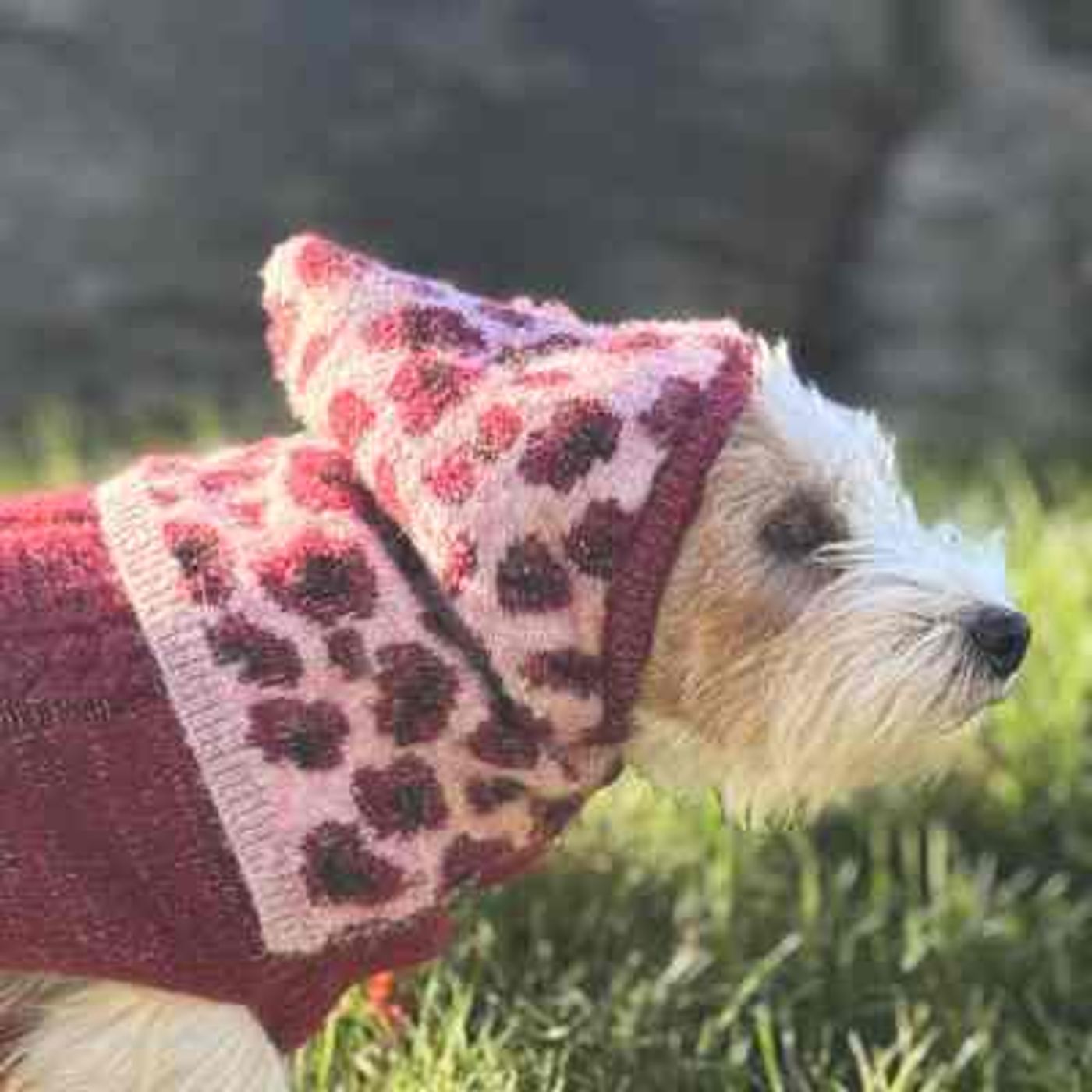 🐕Morild Bestevenn Balaclava XS/S med refleks, rosa