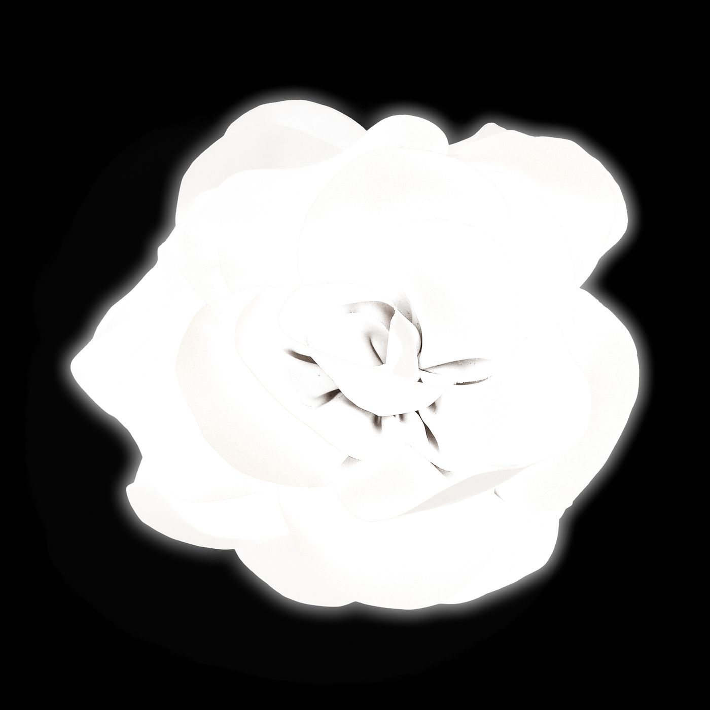 Morild Hårklype med blomst og refleks, lavedel